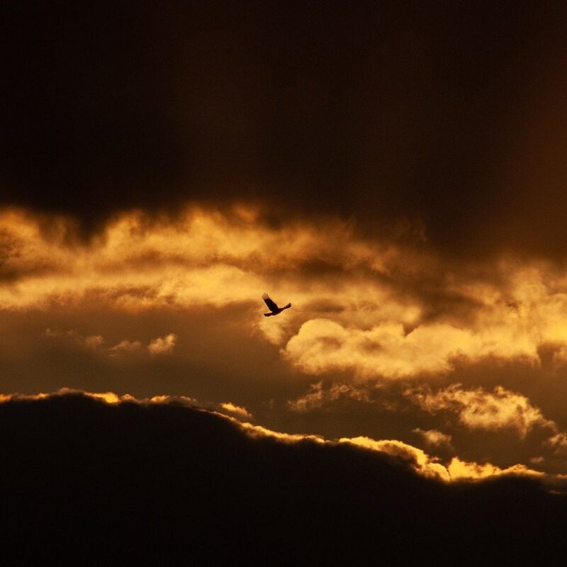 Fundacja rodzinna a dziedziczenie